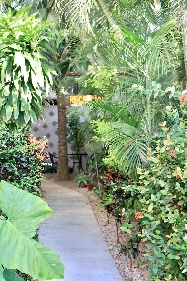 Apartment 10 Avenue, 1 Min Walking To The 5 Av & Beach Suite 4 Playa del Carmen Mexico