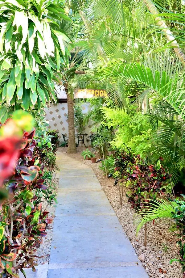 10 Avenue, 1 Min Walking To The 5 Av & Beach Suite 4 Playa del Carmen