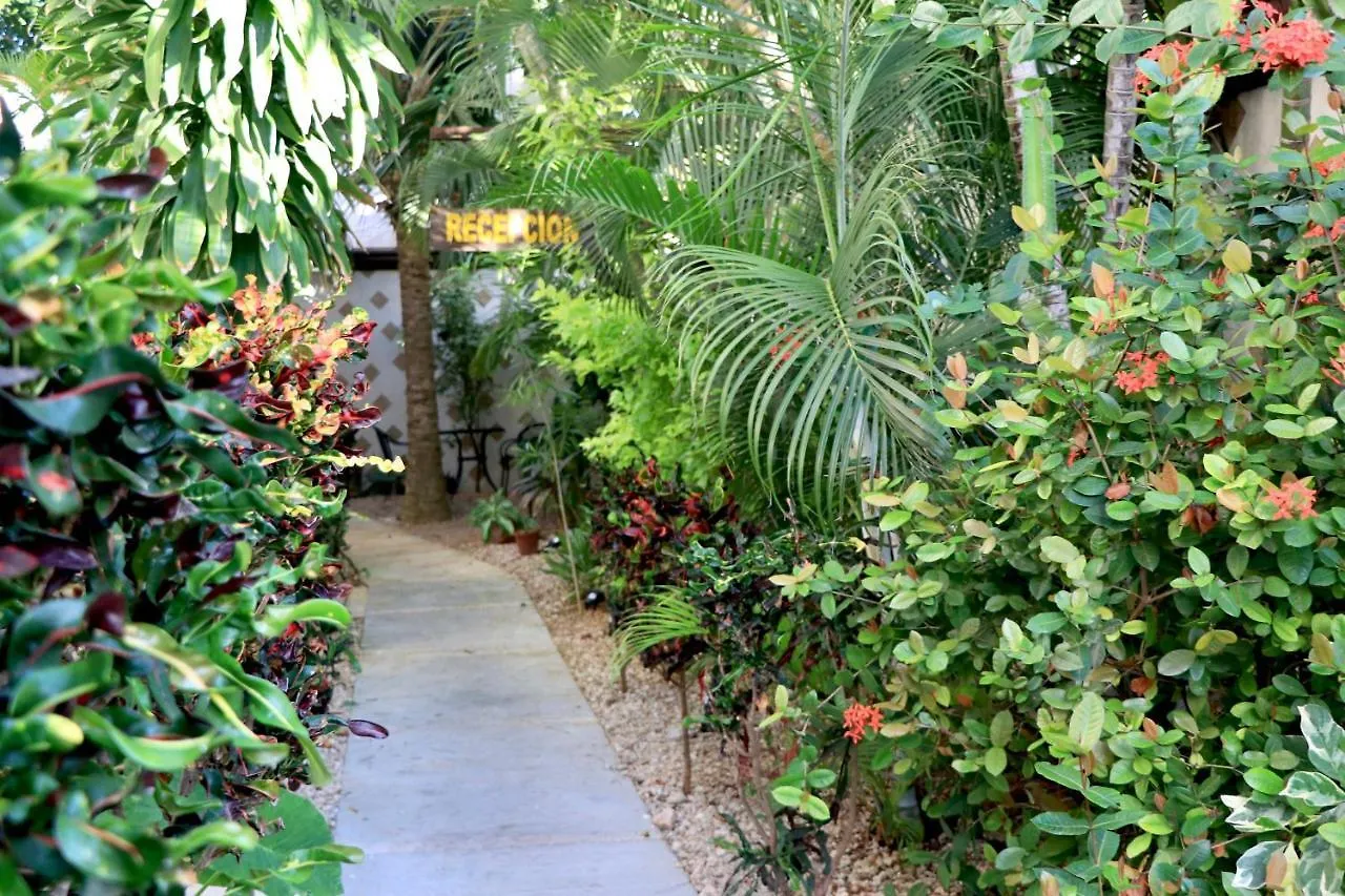 10 Avenue, 1 Min Walking To The 5 Av & Beach Suite 4 Playa del Carmen Apartment