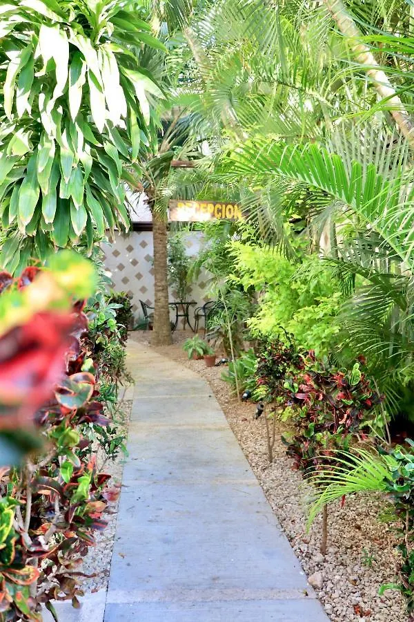 Apartment 10 Avenue, 1 Min Walking To The 5 Av & Beach Suite 4 Playa del Carmen