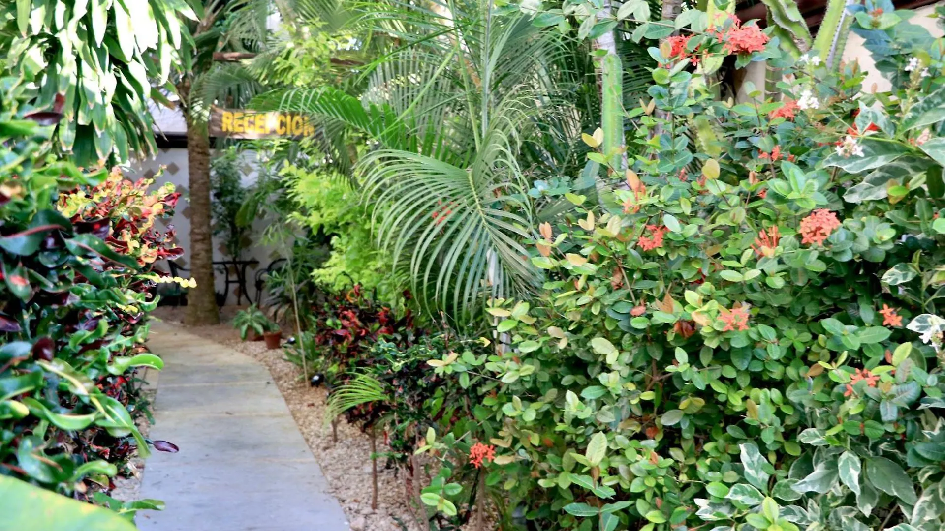 Apartment 10 Avenue, 1 Min Walking To The 5 Av & Beach Suite 4 Playa del Carmen
